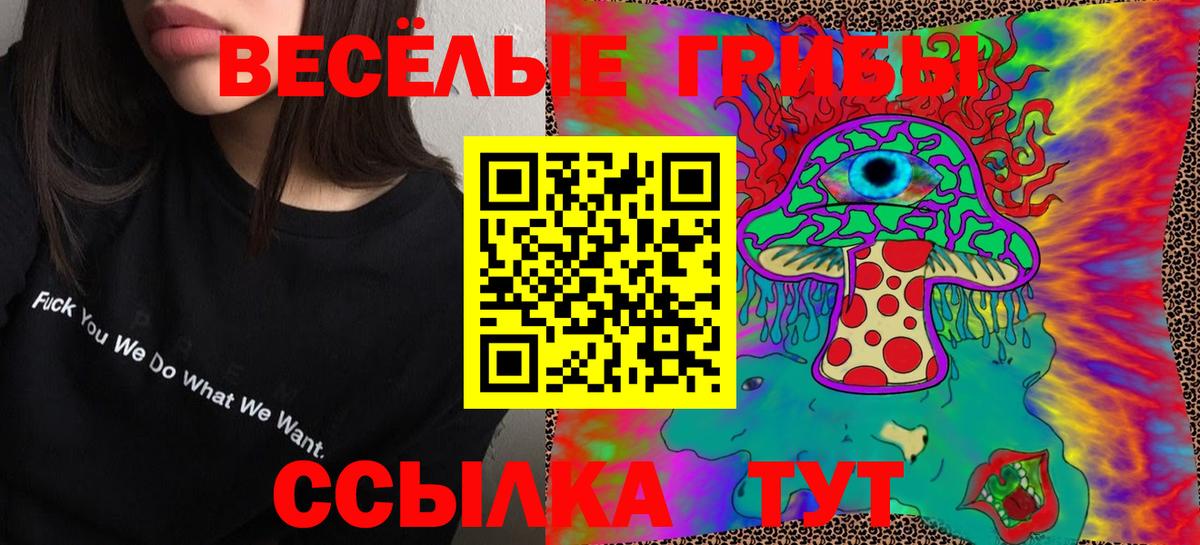 Галлюциногенные грибы GOLDEN TEACHER Богданович
