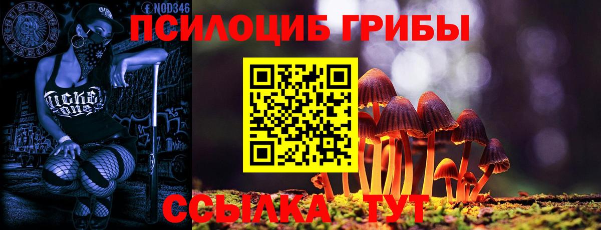Богданович  Галлюциногенные грибы прущие грибы  Вход с VPN 